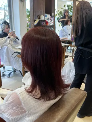 セミロング カラー 竹内帆希/縮毛矯正 /デザインカラーのヘアスタイル