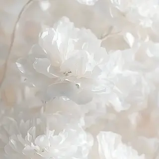 【バスト専門店 】 Kiana のエステ・リラクイメージ