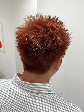 ショート 越後 遥/ 透明感カラー🪞🤍のヘアスタイル