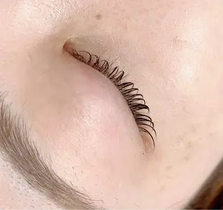 マツエク・マツパ Lotus YUIのマツエク・マツパデザイン