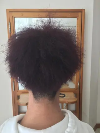 パーマ メンズ フリーランス Ryu-nosukeのヘアスタイル