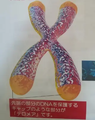 ヴィアージュ所属・後藤 悠暉野のエステ・リラクイメージ