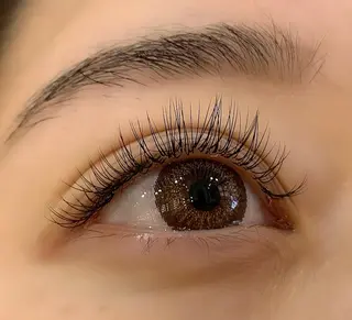 マツエク・マツパ Celeste Venus所属・🧸Celeste Venusのマツエク・マツパデザイン