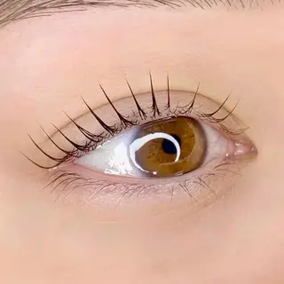 マツエク・マツパ アイブロウ BEMOA eyelash&eyebrow所属・BEMOA 新木 毬のマツエク・マツパデザイン
