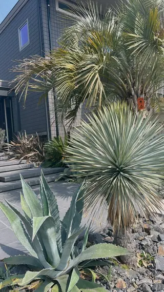 ハワイアンリラクゼーション　マレアロミロミサロンMāAlea lomilomisalon所属・SALON MāAleaのその他イメージ