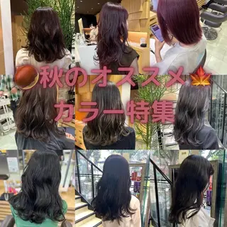 ロング カラー メンズカット/柏/韓 国/メンズパーマ航太のヘアスタイル