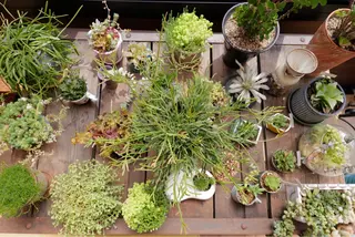 koide  family  studio所属・コイデファミリー スタジオ/小出英明のエステ・リラクイメージ