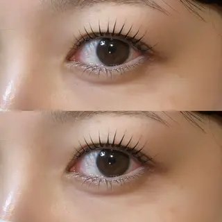 マツエク・マツパ 𝒆𝒊𝒈𝒉𝒕 杏花のマツエク・マツパデザイン