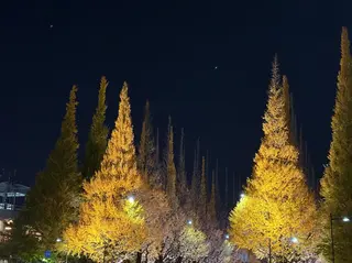 パーソナルカラー診断 ボニットBoknitのその他イメージ