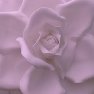 ipse所属・桑田 綾香のエステ・リラクイメージ