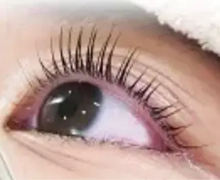 パーマ luana所属・luana府中 まつ毛サロンのマツエク・マツパデザイン