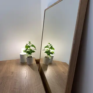 全身脱毛&ブラジリアンワックスサロン rudi 【ルディ】阿波座店所属・【脱毛/眉毛専門店】 rudi　阿波座店の眉毛・アイブロウイメージ