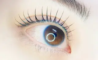 マツエク・マツパ 🌹ブリランテ🌹 大人気店のマツエク・マツパデザイン