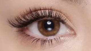 マツエク・マツパ 稲野🌙OLIVIA 池袋🌙代表のマツエク・マツパデザイン