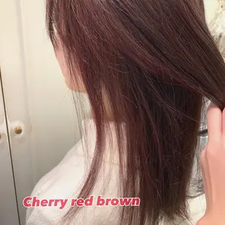 セミロング カラー 大久保 愛のヘアスタイル