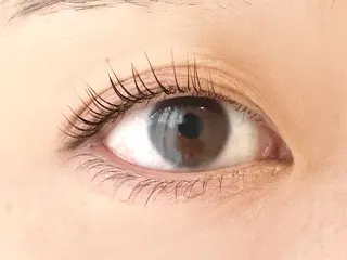 マツエク・マツパ Lowen 野原の眉毛・アイブロウイメージ