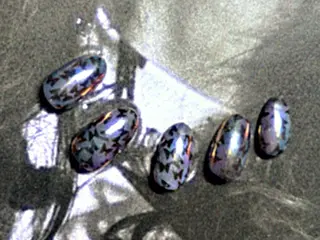 ネイル ネイルパレス所属・ネイルパレス【デザ イン/恵比寿】のネイルデザイン