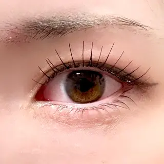 マツエク・マツパ ALPHAbyORIKA所属・高評価｜束感まつげ ユキ｜大阪のマツエク・マツパデザイン