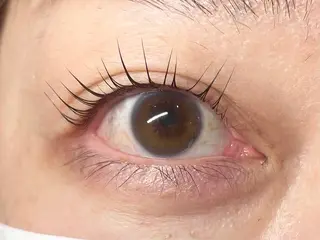 マツエク・マツパ 中村彩香 (エフドゥ)のマツエク・マツパデザイン