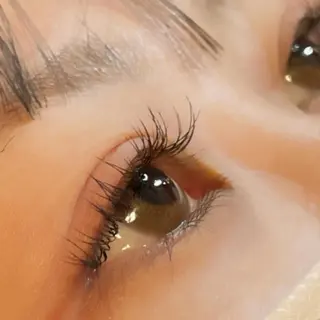 マツエク・マツパ Orange  Camelのマツエク・マツパデザイン