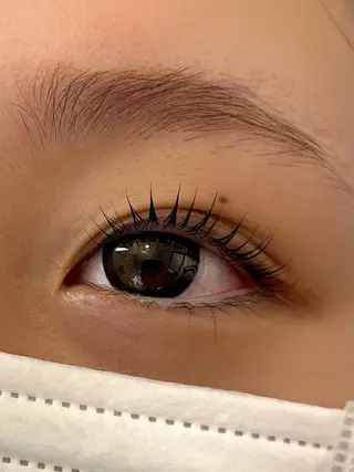 マツエク・マツパ Persian Kayoのマツエク・マツパデザイン