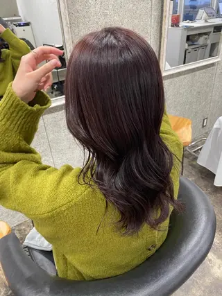 セミロング akiba ryokaのヘアスタイル