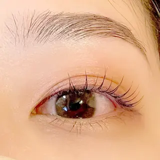 マツエク・マツパ ナチュラル眉まつ毛 ／ラウレアの眉毛・アイブロウイメージ