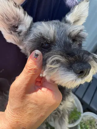 ネイル chai大阪上本町 sayakaのネイルデザイン