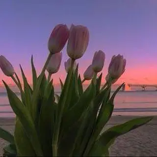 アイブロウEve.y所属・アイブロウ Eve.yの眉毛・アイブロウイメージ