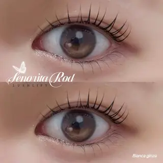 マツエク・マツパ Bianca 銀座 Sakuraiのマツエク・マツパデザイン