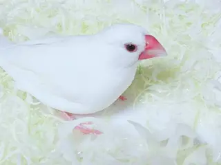 g*rossa高橋 くみこのエステ・リラクイメージ