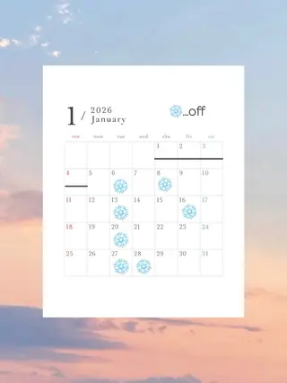 寒色/艶カラー 🐺❄️/ yuu.のヘアスタイル