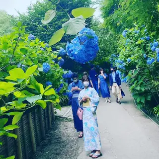 神山 ビューティー・アイのマツエク・マツパデザイン