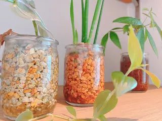 retreat リトリートのマツエク・マツパデザイン