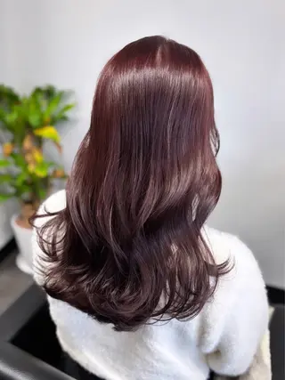 セミロング 韓国ヘア/レイヤー 🇰🇷/艶髪/長橋のヘアスタイル