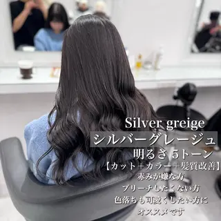 ロング カラー 透け上品ハイトーン 職人ゆうと🤍のヘアスタイル