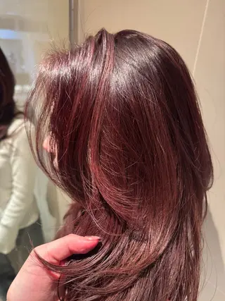 カラー 🌱艶髪ストレート✨ 🦖せりか🦖のヘアスタイル