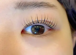 マツエク・マツパ デイジーラッシュ 天王寺　南のマツエク・マツパデザイン