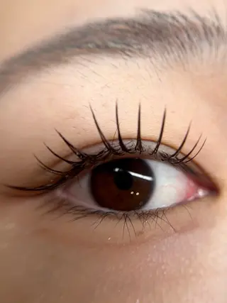 マツエク・マツパ Lilac二子玉川 大人のまつ毛サロンのマツエク・マツパデザイン