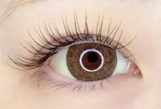 マツエク・マツパ 髪処知会サロン内　can eyelash beauty所属・caneyelash beautyのマツエク・マツパデザイン