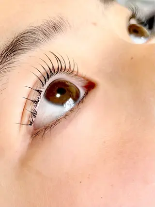 マツエク・マツパ niko eyelash×eyebrow所属・niko eyeのマツエク・マツパデザイン