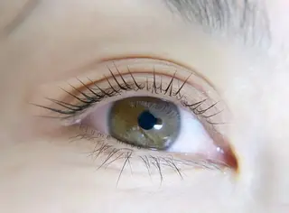 マツエク・マツパ Plume micoのマツエク・マツパデザイン