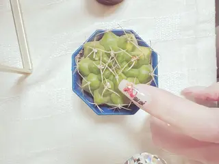 ネイル 田中 麻衣のネイルデザイン