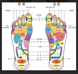 Orange Sweet　扶美のエステ・リラクイメージ