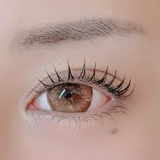 マツエク・マツパ Luxe ···▸﻿ Seike🐈‍⬛⸒の眉毛・アイブロウイメージ