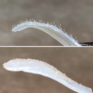 LULA大宮店 YOSHIWARAの眉毛・アイブロウイメージ