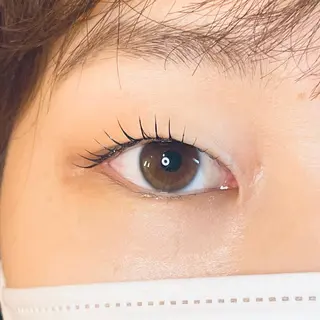マツエク・マツパ LeLe/中崎町/ LED/眉毛の眉毛・アイブロウイメージ