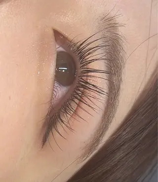 マツエク・マツパ MAQUIA蒲田店 横山のマツエク・マツパデザイン