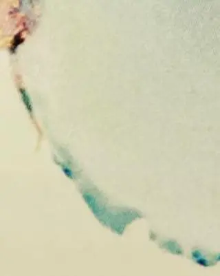 ビューティーサロン bleu clairのエステ・リラクイメージ