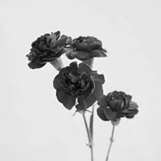 É LINDA所属・E LINDAのネイルデザイン